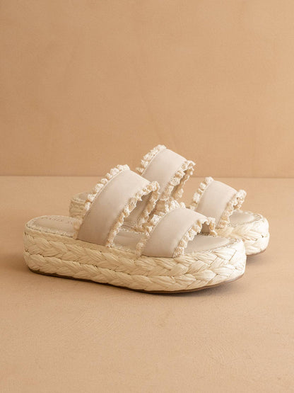 THE POLLY PLATFORM
