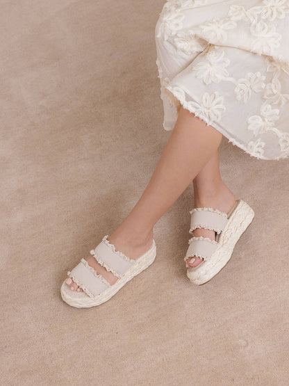 THE POLLY PLATFORM