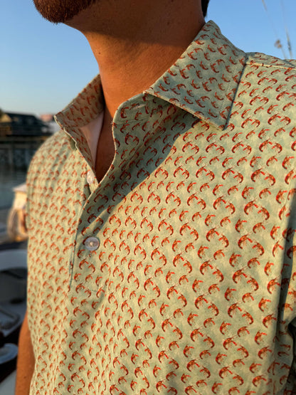 THE BOIL POLO