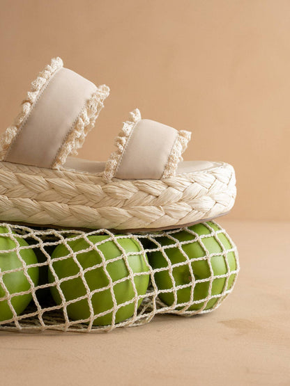 THE POLLY PLATFORM