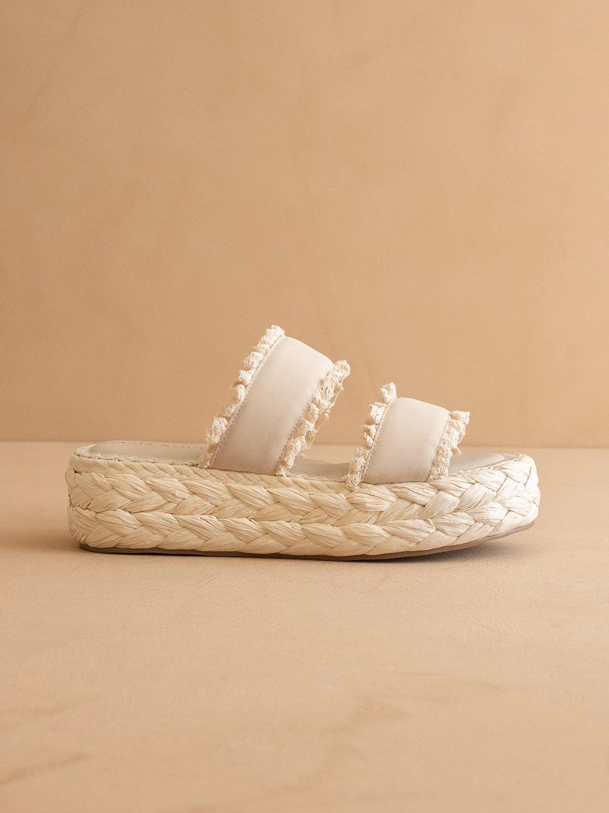 THE POLLY PLATFORM