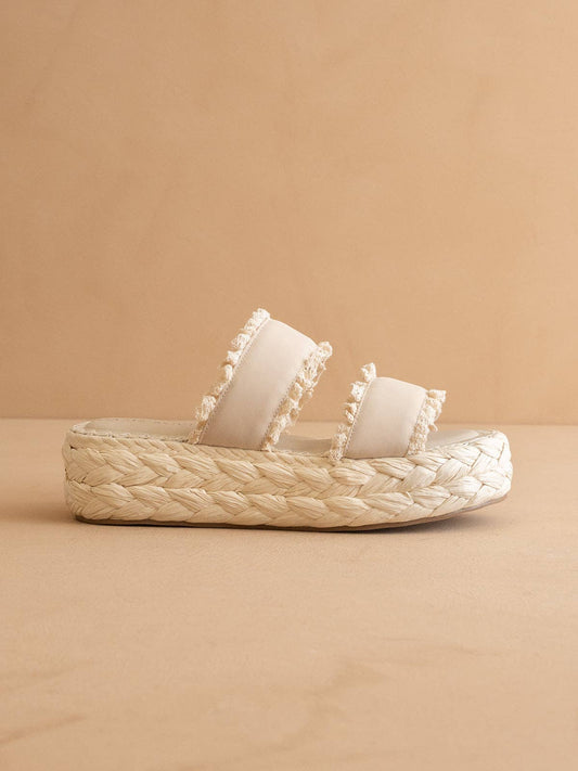 THE POLLY PLATFORM